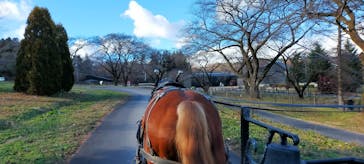 伊香保グリーン牧場に投稿された画像（2022/12/18）