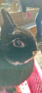 伊香保グリーン牧場に投稿された画像（2022/12/18）