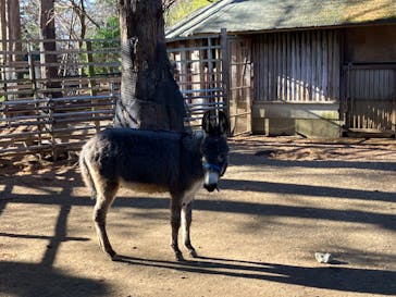 伊豆シャボテン動物公園に投稿された画像（2022/12/18）