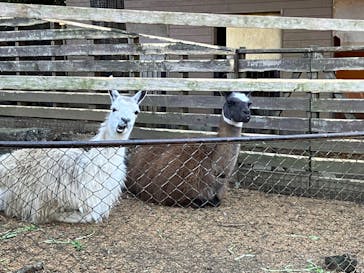 伊豆シャボテン動物公園に投稿された画像（2022/12/18）
