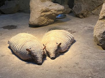 伊豆シャボテン動物公園に投稿された画像（2022/12/18）