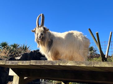 伊豆シャボテン動物公園に投稿された画像（2022/12/18）