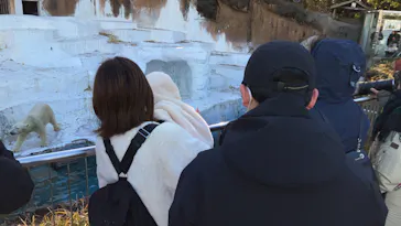 天王寺動物園に投稿された画像（2022/12/18）