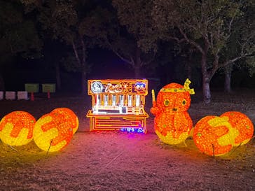 大阪城イルミナージュに投稿された画像（2022/12/18）