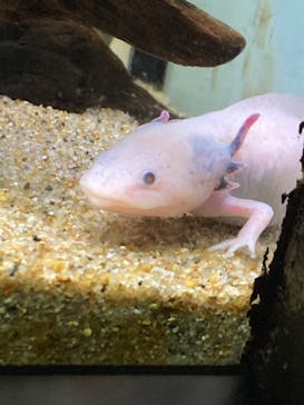 サンシャイン水族館に投稿された画像（2022/12/18）