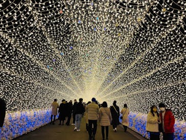 なばなの里に投稿された画像（2022/12/18）