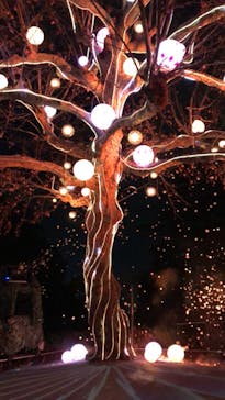 西武園ゆうえんちに投稿された画像（2022/12/18）