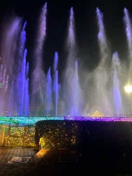 東京メガイルミに投稿された画像（2022/12/18）