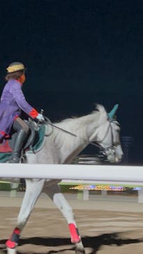 東京メガイルミに投稿された画像（2022/12/18）