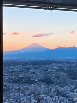 横浜ランドマークタワー 69階展望フロア スカイガーデンに投稿された画像（2022/12/18）