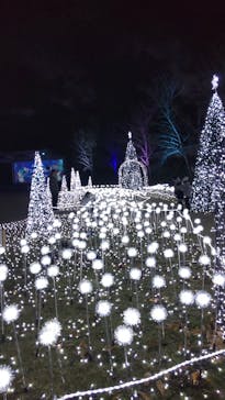 大阪府立花の文化園に投稿された画像（2022/12/18）