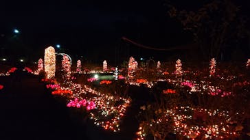 大阪府立花の文化園に投稿された画像（2022/12/18）