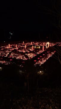 大阪府立花の文化園に投稿された画像（2022/12/18）