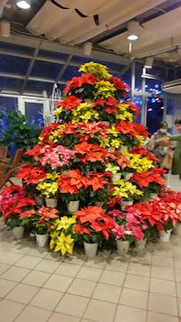 大阪府立花の文化園に投稿された画像（2022/12/18）