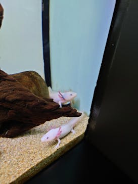 サンシャイン水族館に投稿された画像（2022/12/18）