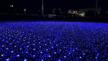 東京メガイルミに投稿された画像（2022/12/18）