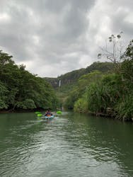 西表ジャングル探検隊に投稿された画像（2022/12/18）
