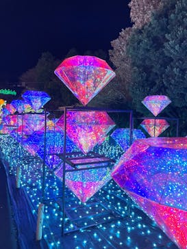 伊豆ぐらんぱる公園に投稿された画像（2022/12/18）