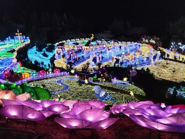 伊豆ぐらんぱる公園に投稿された画像（2022/12/18）