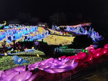 伊豆ぐらんぱる公園に投稿された画像（2022/12/18）