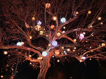 西武園ゆうえんちに投稿された画像（2022/12/18）