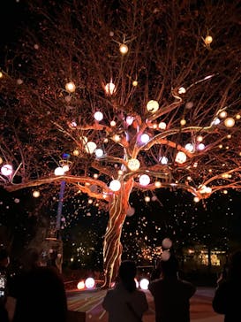 西武園ゆうえんちに投稿された画像（2022/12/18）