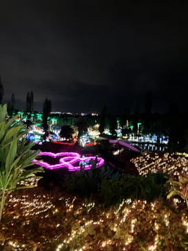 美らヤシパークオキナワ・東南植物楽園に投稿された画像（2022/12/18）