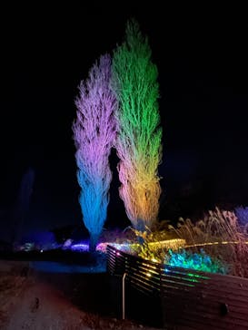 KYOTO ILLUMINATION SYNESTHESIA HILLS るり渓温泉に投稿された画像（2022/12/18）