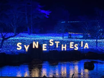 KYOTO ILLUMINATION SYNESTHESIA HILLS るり渓温泉に投稿された画像（2022/12/18）