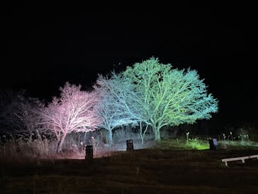 KYOTO ILLUMINATION SYNESTHESIA HILLS るり渓温泉に投稿された画像（2022/12/18）
