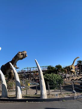 伊豆ぐらんぱる公園に投稿された画像（2022/12/18）