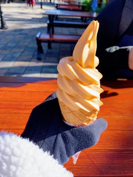 伊豆ぐらんぱる公園に投稿された画像（2022/12/18）