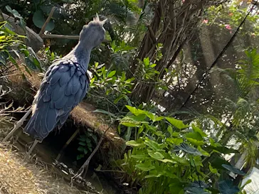 神戸どうぶつ王国に投稿された画像（2022/12/18）