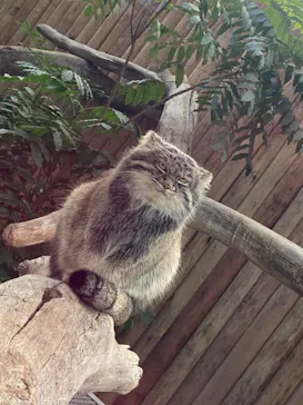 神戸どうぶつ王国に投稿された画像（2022/12/18）