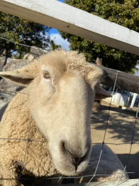 神戸どうぶつ王国に投稿された画像（2022/12/18）