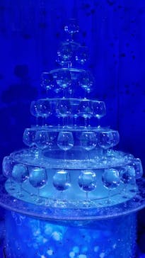 新江ノ島水族館に投稿された画像（2022/12/18）