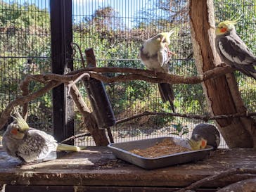 伊豆アニマルキングダムに投稿された画像（2022/12/18）