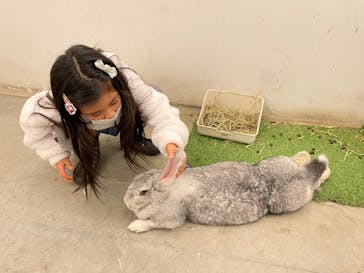 Moff アニマル カフェ イーアス 高尾店に投稿された画像（2022/12/18）