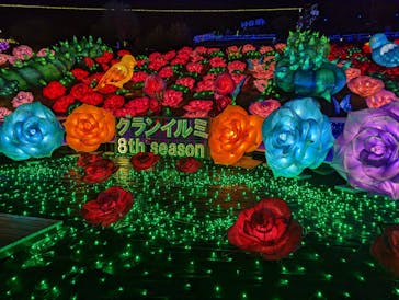 伊豆ぐらんぱる公園に投稿された画像（2022/12/18）