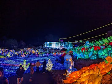 伊豆ぐらんぱる公園に投稿された画像（2022/12/18）