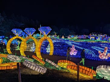 伊豆ぐらんぱる公園に投稿された画像（2022/12/18）