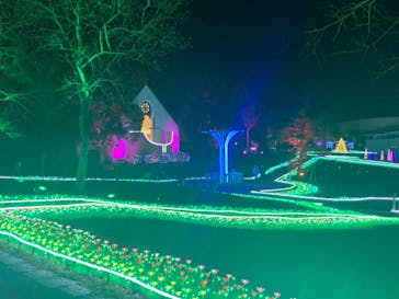 つま恋イルミネーションに投稿された画像（2022/12/18）