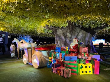 東京メガイルミに投稿された画像（2022/12/18）