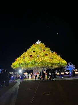 東京メガイルミに投稿された画像（2022/12/18）