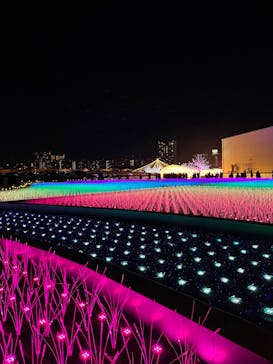 東京メガイルミに投稿された画像（2022/12/18）