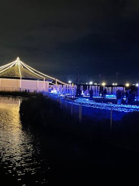 東京メガイルミに投稿された画像（2022/12/18）