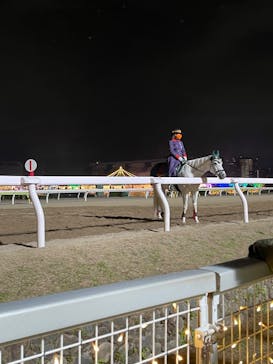 東京メガイルミに投稿された画像（2022/12/18）