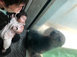 大分マリーンパレス水族館 「うみたまご」に投稿された画像（2022/12/19）