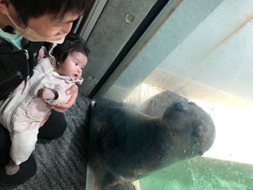 大分マリーンパレス水族館 「うみたまご」に投稿された画像（2022/12/18）
