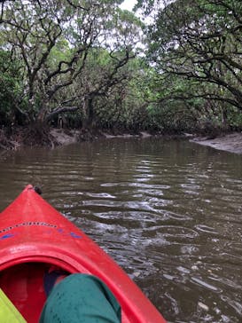 マングローブ茶屋に投稿された画像（2022/12/18）